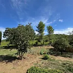 Podere Le Marene Scoppieto