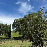 Podere Le Marene Scoppieto