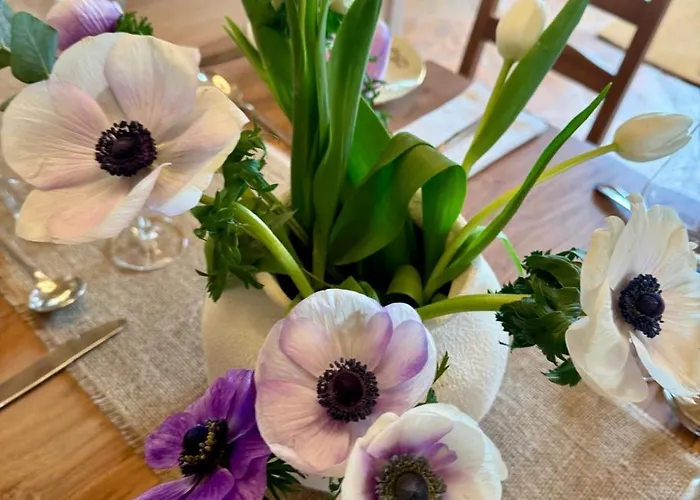 Feriested Podere Le Marene *