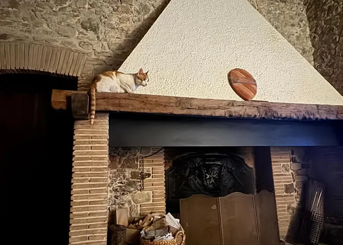 Podere Le Marene Feriested Scoppieto